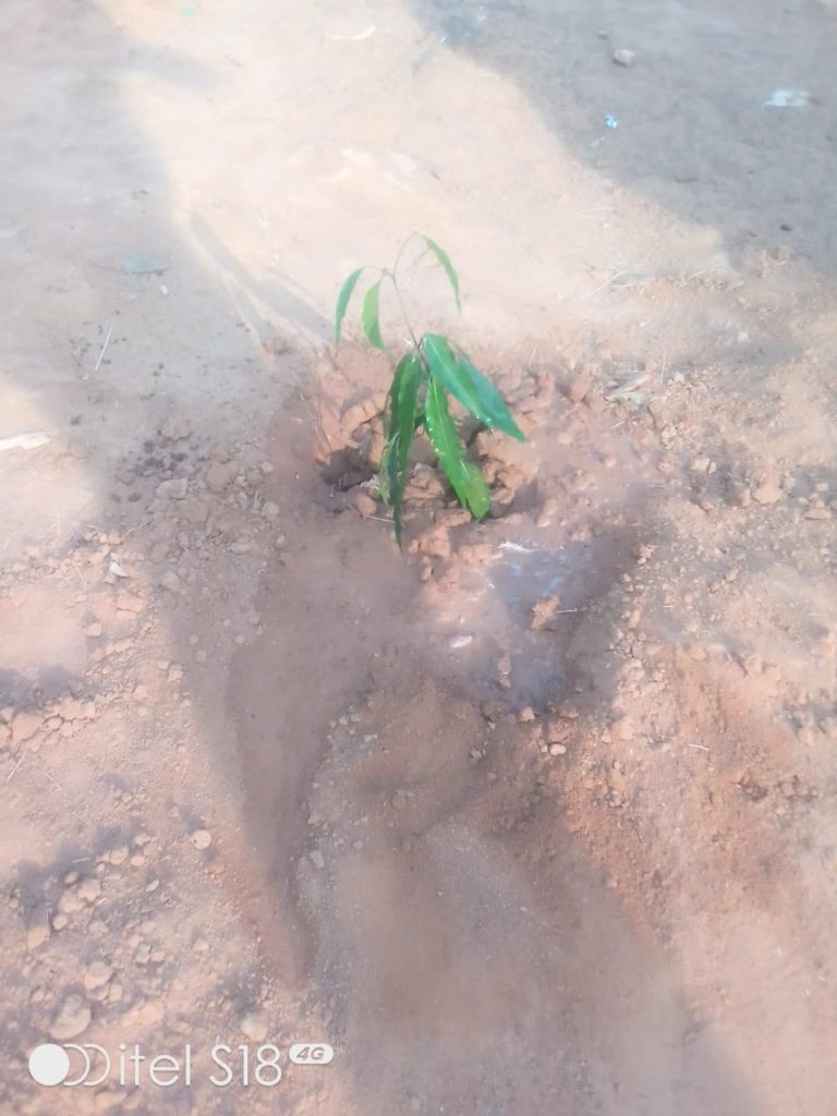 WhatsApp-Image-2026-02-07-at-17.36.41-1-768x1024 L'atelier de renforcement des capacités fiscalo-comptables des jeunes ayants reçu des financements publics par le partenaire MINJEC "SIMPLY-FINANCE"