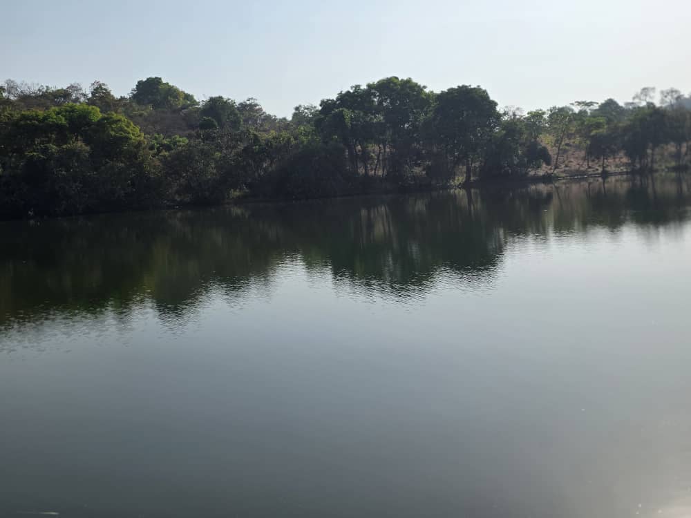 WhatsApp-Image-2026-02-10-at-19.12.05 Onzaine du soixantenaire de la Fête de la Jeunesse Mayo Darlé